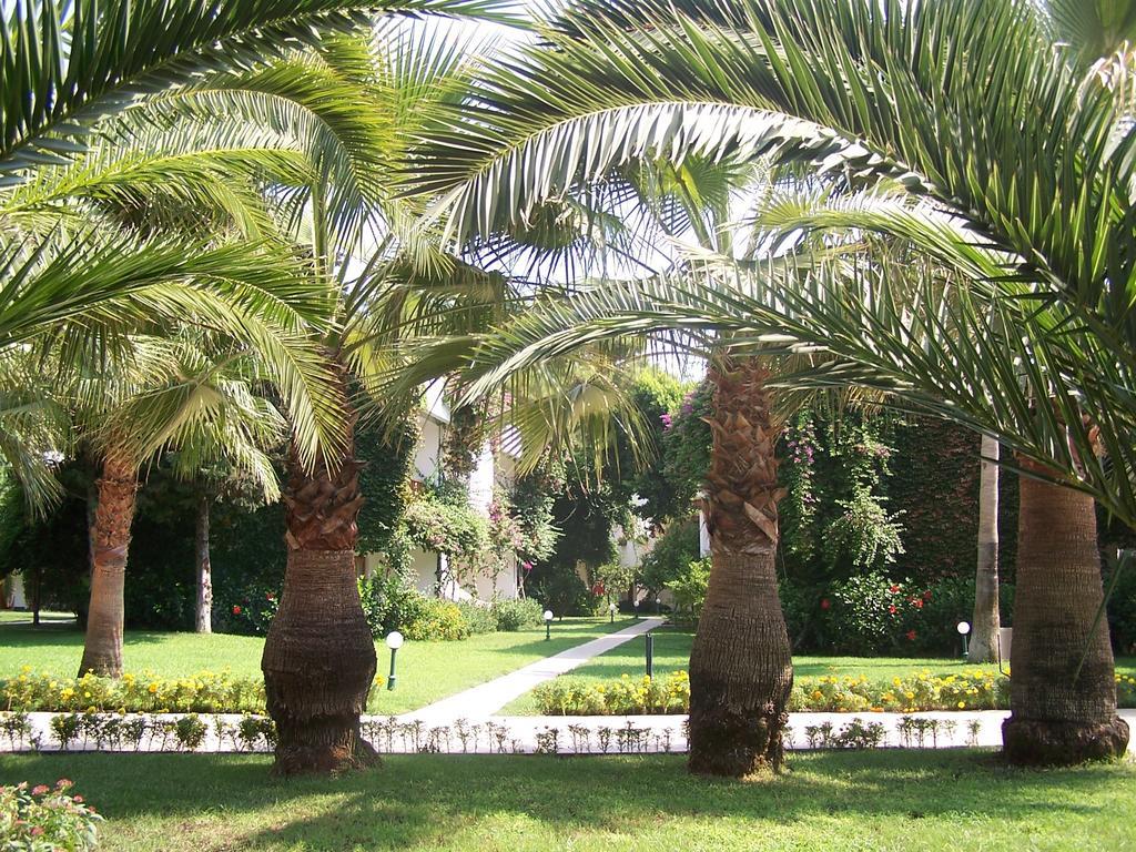 Club Boran Mare Beach Kemer Esterno foto