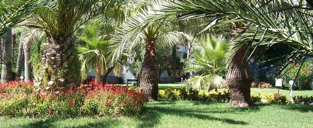Club Boran Mare Beach Kemer Esterno foto